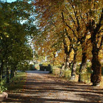 Hverdagen i Storegade